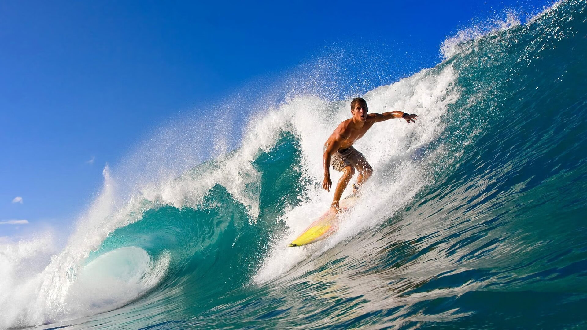 逆转橄榄球队主场连胜纪录,橄榄球传记